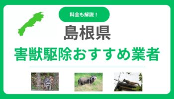 島根県の害獣駆除優良業者ランキング11選！後悔しないための料金相場と選び方
