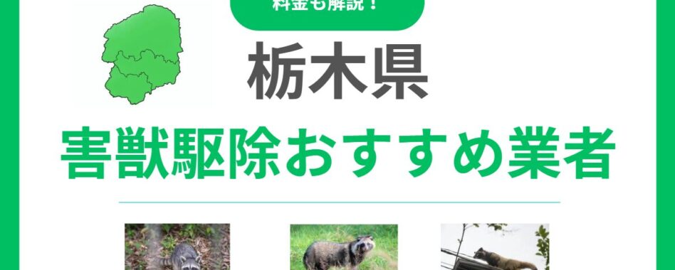 栃木県でおすすめの害獣駆除業者12選！信頼できるプロの選び方と料金相場を徹底解説