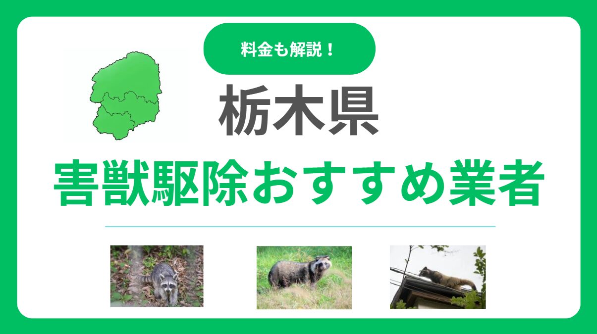 栃木県でおすすめの害獣駆除業者12選！信頼できるプロの選び方と料金相場を徹底解説
