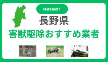 長野県の害獣駆除おすすめ業者16選！料金相場と優良な会社の選び方を解説