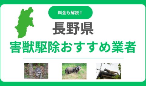 長野県の害獣駆除おすすめ業者16選！料金相場と優良な会社の選び方を解説
