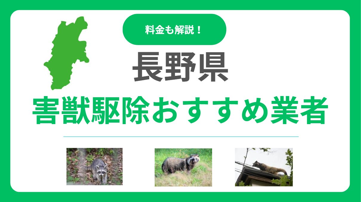 長野県の害獣駆除おすすめ業者16選！料金相場と優良な会社の選び方を解説