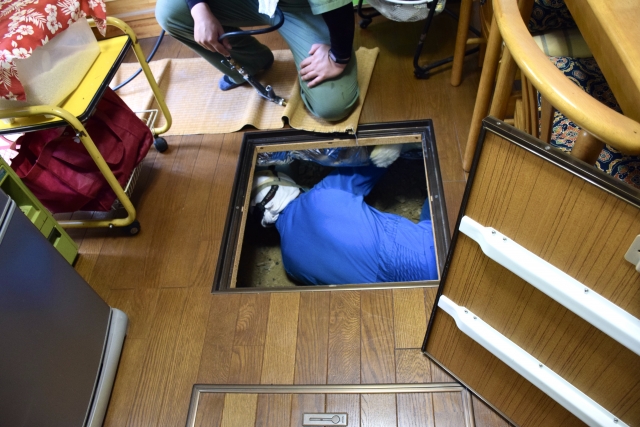 失敗しないシロアリ駆除業者の選び方｜7つのチェックポイント