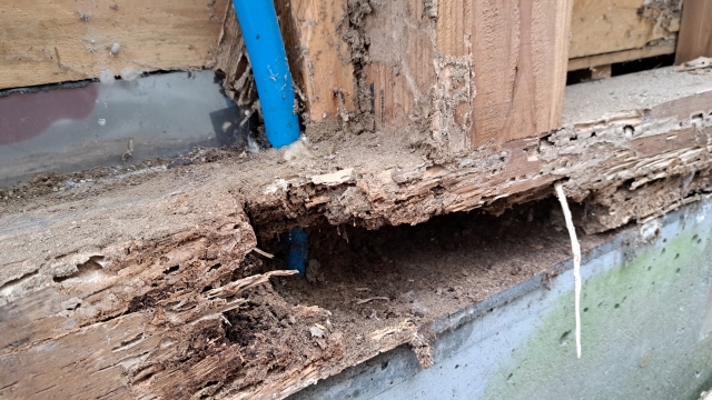 よくある質問｜シロアリ駆除業者選びのQ&A