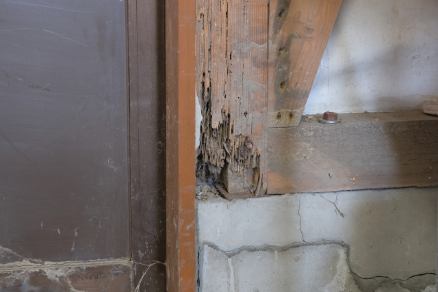 シロアリ駆除なら専門業者にお任せ