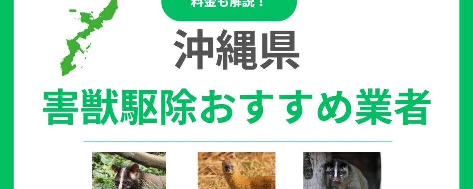 沖縄県の害獣駆除業者はココ！優良業者15選を徹底比較｜料金相場と選び方のポイント