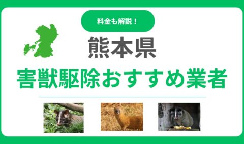 熊本県の害獣駆除業者おすすめ10選！料金相場と失敗しない選び方を徹底解説