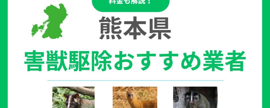 熊本県の害獣駆除業者おすすめ10選！料金相場と失敗しない選び方を徹底解説