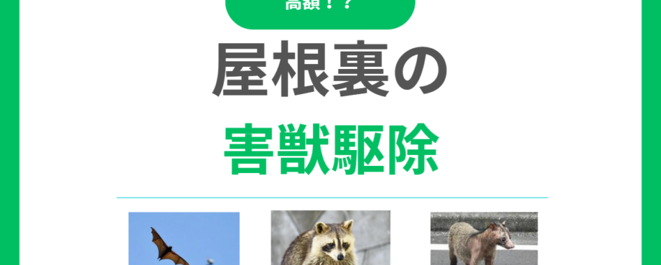 屋根裏の害獣駆除！追い出す方法や費用相場、業者選びまで徹底解説！