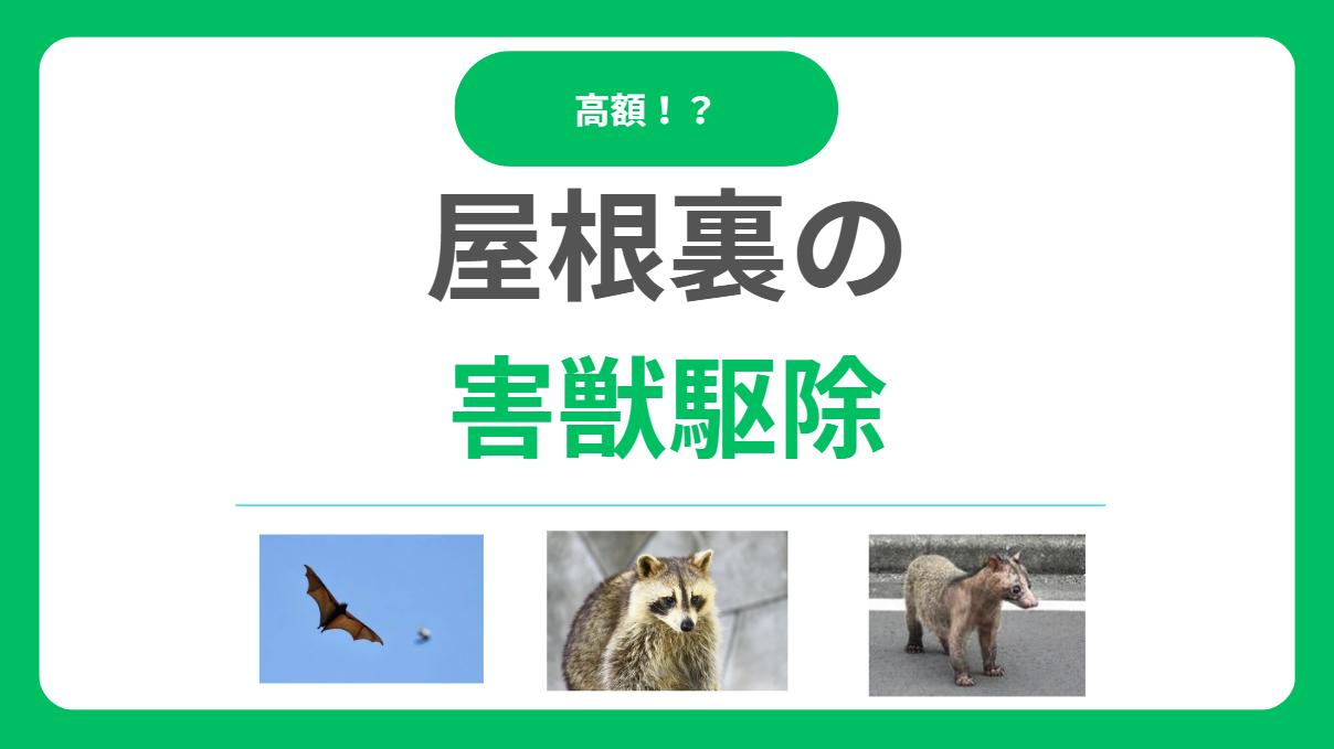 屋根裏の害獣駆除！追い出す方法や費用相場、業者選びまで徹底解説！