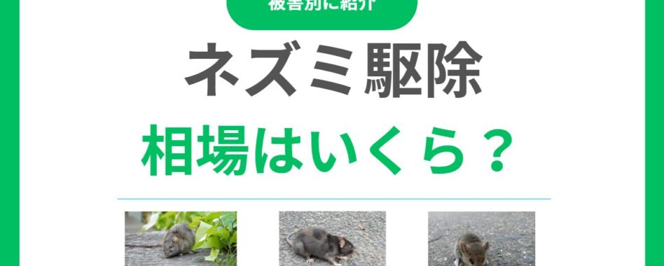 ネズミ駆除の料金相場はいくら？一戸建て平均費用と適正価格で依頼する方法