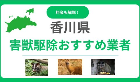 【2025年】香川県の害獣駆除業者おすすめ13選！料金相場と信頼できる選び方を解説