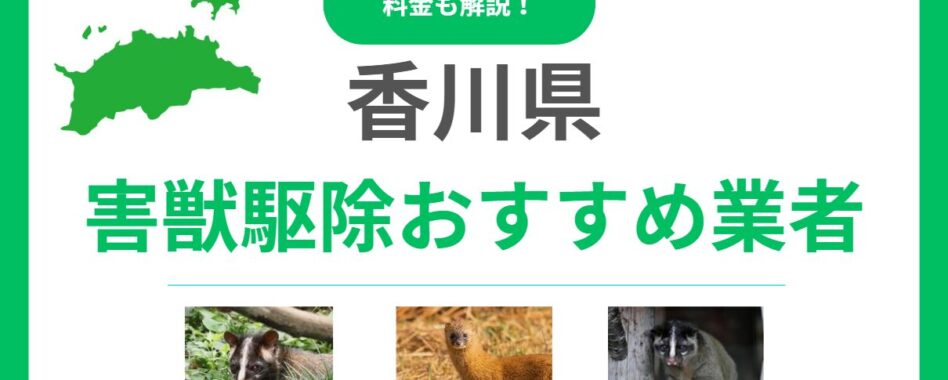 【2025年】香川県の害獣駆除業者おすすめ13選！料金相場と信頼できる選び方を解説
