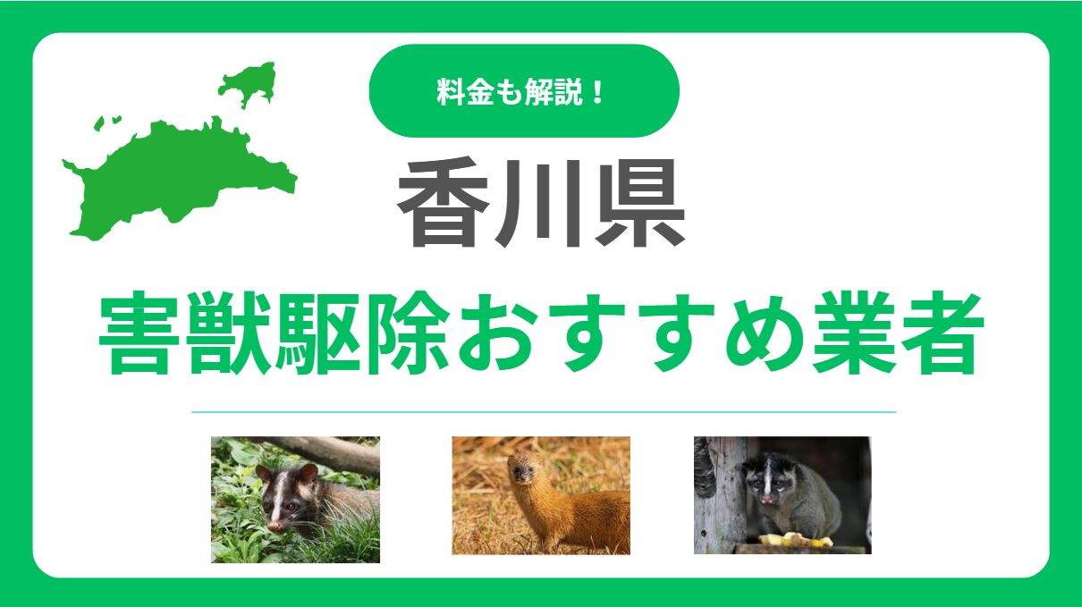 【2025年】香川県の害獣駆除業者おすすめ13選！料金相場と信頼できる選び方を解説