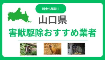 山口県の害獣駆除業者おすすめ15選！信頼できるプロの選び方と料金の目安