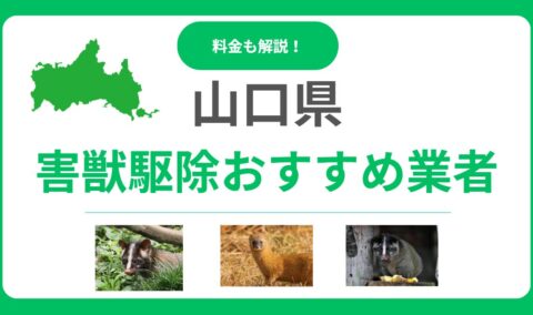 山口県の害獣駆除業者おすすめ15選！信頼できるプロの選び方と料金の目安