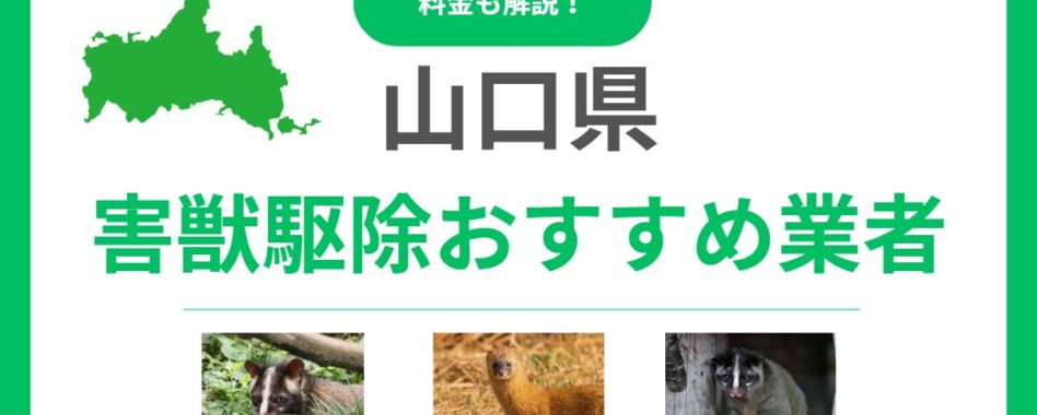 山口県の害獣駆除業者おすすめ15選！信頼できるプロの選び方と料金の目安