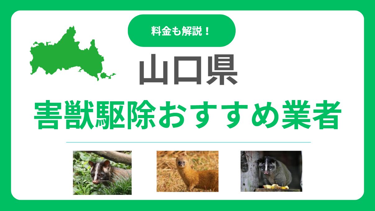 山口県の害獣駆除業者おすすめ15選！信頼できるプロの選び方と料金の目安