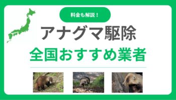 アナグマ駆除業者おすすめランキング12社！口コミ・評判の良い業者を徹底比較！