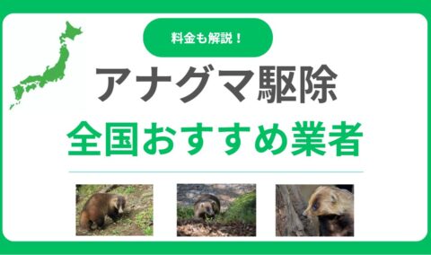 アナグマ駆除業者おすすめランキング12社！口コミ・評判の良い業者を徹底比較！