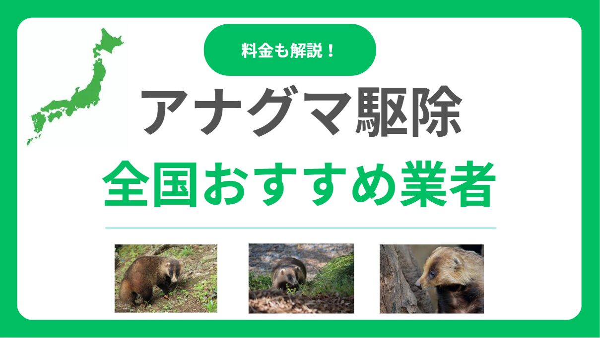 アナグマ駆除業者おすすめランキング12社！口コミ・評判の良い業者を徹底比較！