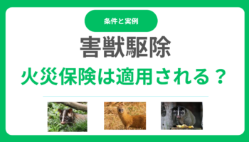 害獣駆除に火災保険は適用される？適用される条件と事例とは？