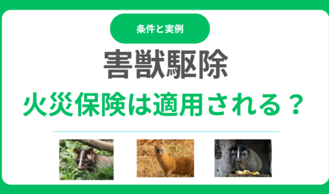 害獣駆除に火災保険は適用される？適用される条件と事例とは？