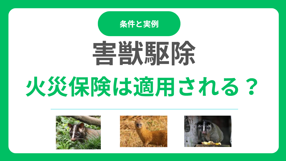 害獣駆除に火災保険は適用される？適用される条件と事例とは？