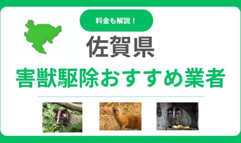【2025年版】佐賀県の害獣駆除業者おすすめ11選！信頼できるプロの選び方と料金の目安