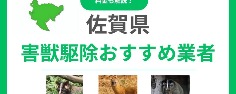 【2025年版】佐賀県の害獣駆除業者おすすめ11選！信頼できるプロの選び方と料金の目安