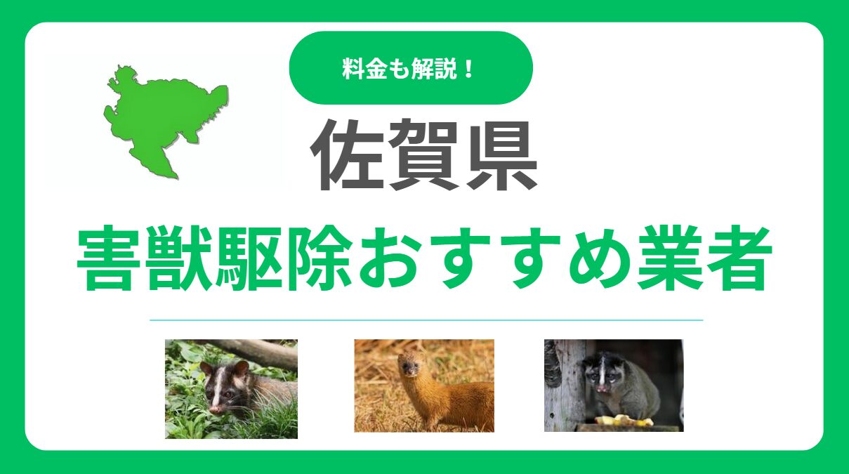 【2025年版】佐賀県の害獣駆除業者おすすめ11選！信頼できるプロの選び方と料金の目安