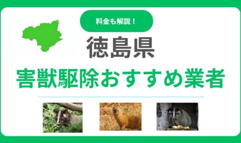 【徳島県】害獣駆除のおすすめ業者16選！料金相場と優良な会社の選び方を解説