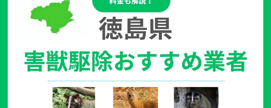 【徳島県】害獣駆除のおすすめ業者16選！料金相場と優良な会社の選び方を解説
