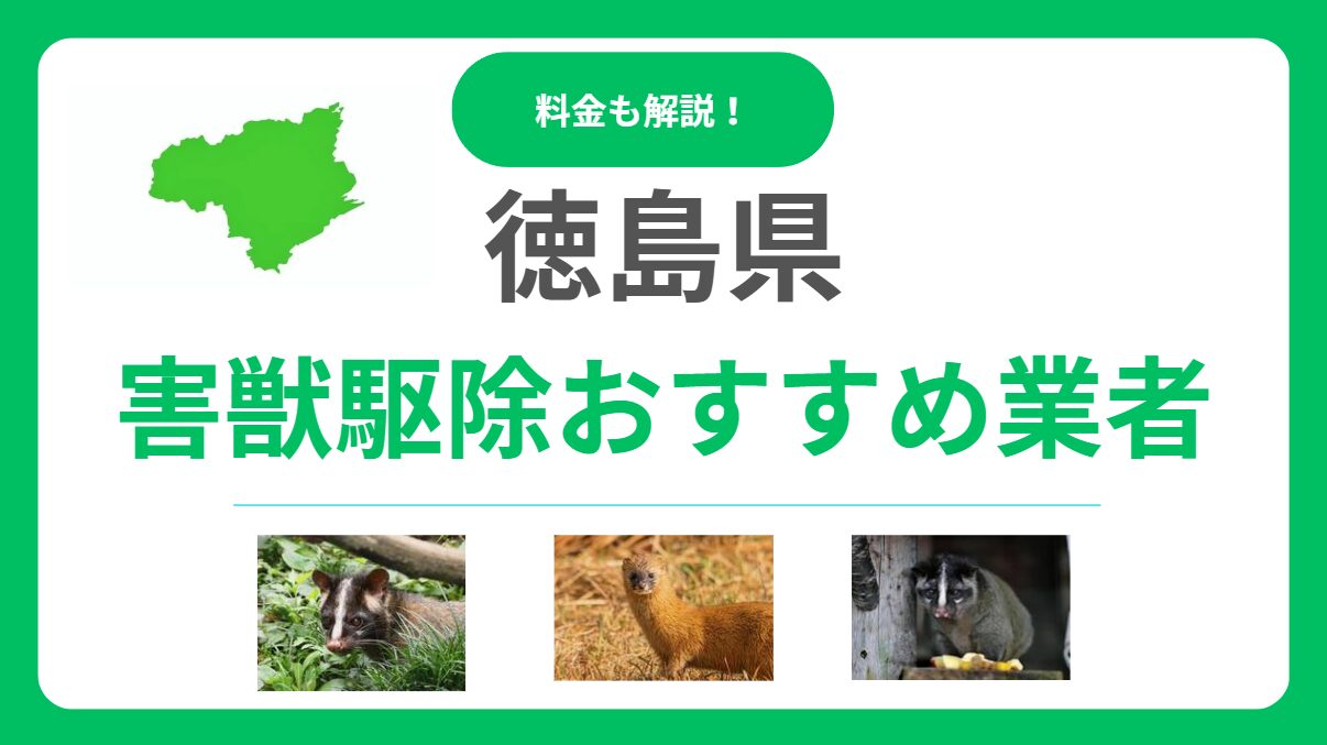 【徳島県】害獣駆除のおすすめ業者16選！料金相場と優良な会社の選び方を解説