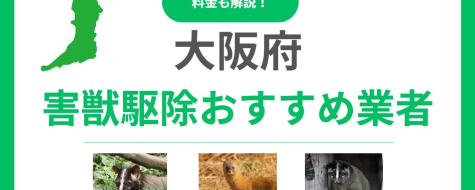 【2025年版】大阪府の害獣駆除おすすめ業者ランキング15選！料金相場と信頼できる会社の選び方