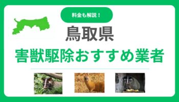 【鳥取県版】害獣駆除のおすすめ業者15選！費用と信頼できる選び方のポイント