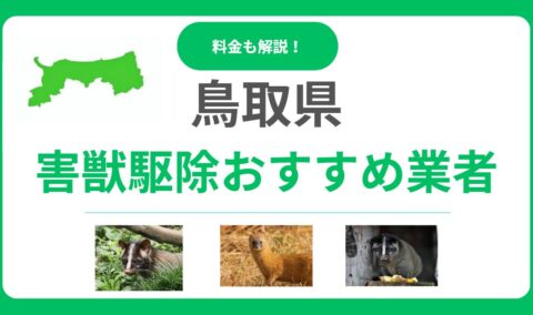 【鳥取県版】害獣駆除のおすすめ業者15選！費用と信頼できる選び方のポイント