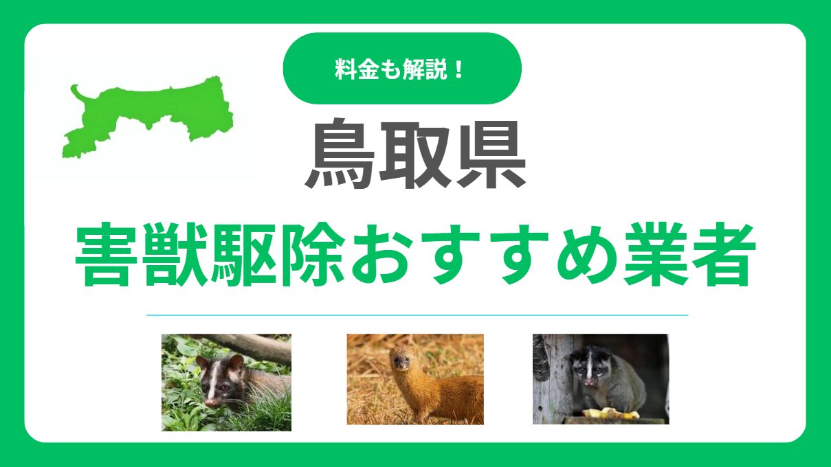 【鳥取県版】害獣駆除のおすすめ業者15選！費用と信頼できる選び方のポイント