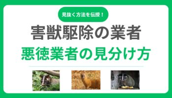 害獣駆除の悪徳業者を見抜く7つのチェックポイント！騙されない業者選びの秘訣とは？