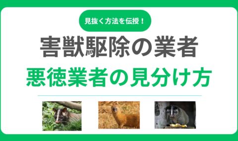 害獣駆除の悪徳業者を見抜く7つのチェックポイント！騙されない業者選びの秘訣とは？