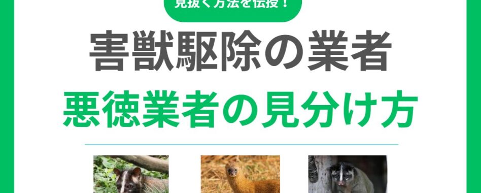 害獣駆除の悪徳業者を見抜く7つのチェックポイント！騙されない業者選びの秘訣とは？