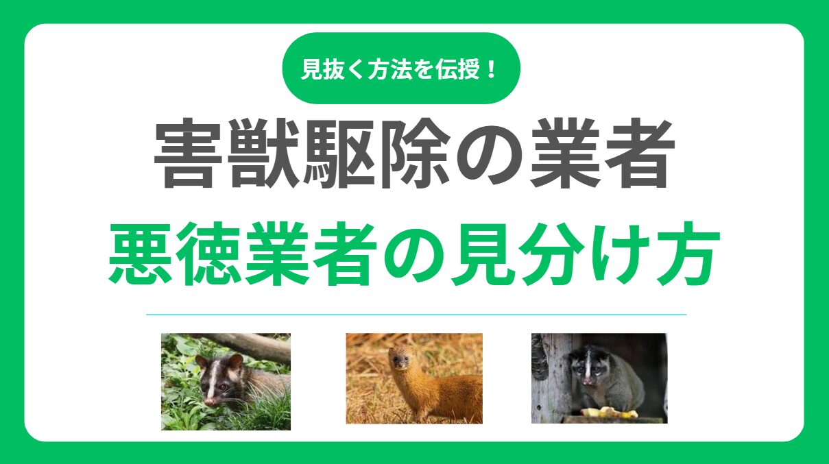害獣駆除の悪徳業者を見抜く7つのチェックポイント！騙されない業者選びの秘訣とは？