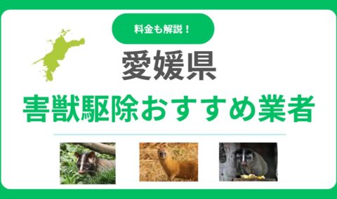 愛媛県の害獣駆除業者おすすめ15選！料金相場と信頼できる選び方を解説