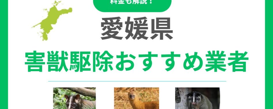 愛媛県の害獣駆除業者おすすめ15選！料金相場と信頼できる選び方を解説