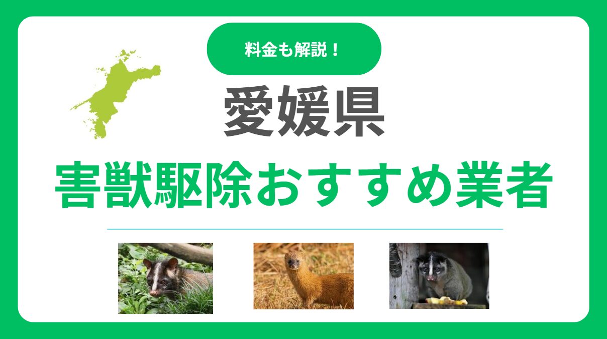 愛媛県の害獣駆除業者おすすめ15選！料金相場と信頼できる選び方を解説