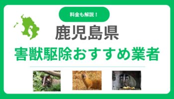 【鹿児島県】害獣駆除のおすすめ業者15選！料金相場と信頼できる会社の選び方を徹底解説