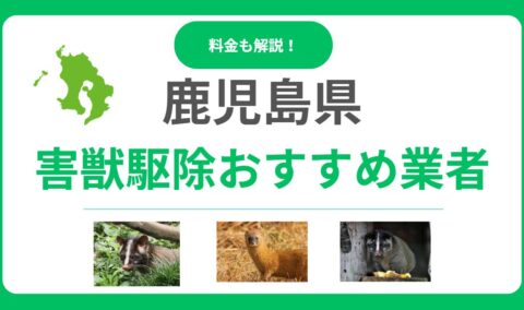 【鹿児島県】害獣駆除のおすすめ業者15選！料金相場と信頼できる会社の選び方を徹底解説