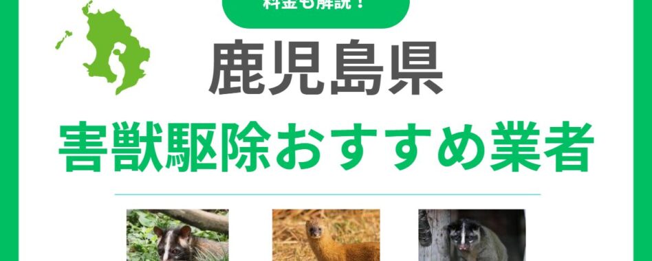 【鹿児島県】害獣駆除のおすすめ業者15選！料金相場と信頼できる会社の選び方を徹底解説