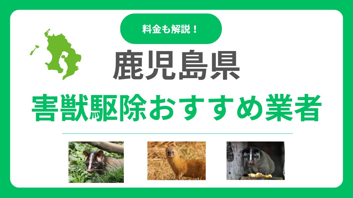 【鹿児島県】害獣駆除のおすすめ業者15選！料金相場と信頼できる会社の選び方を徹底解説