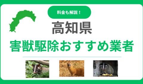 【高知県】害獣駆除のおすすめ業者15選！料金相場と優良な会社の選び方を解説